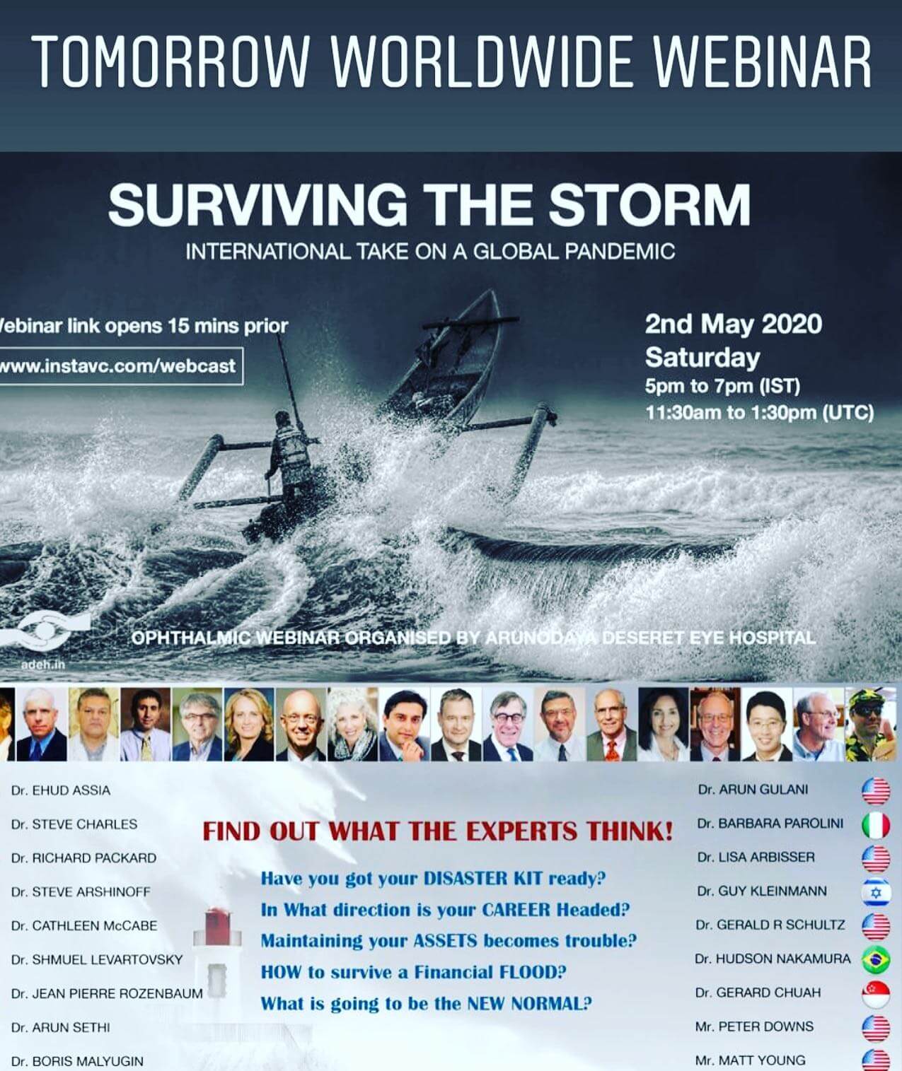 Surviving the Storm - International Take On a Global Pandemic Poster