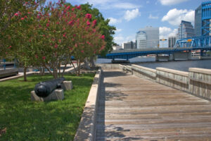 A boardwalk with trees to the side